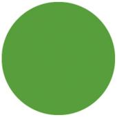 Showgear Colour Roll 122 x 762 cm Varengroen 