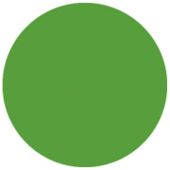 Showgear Kleurenvel 122 x 55 cm Groen 