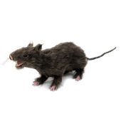 EUROPALMS Rat, lifelike with coat 30cm