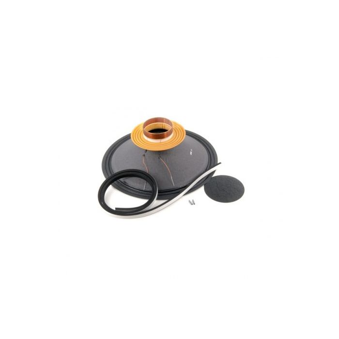 Vintage Beyma 10AG150 8 ohm recone kit